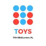 TOYS SŁAWOMIR HANUSZEK